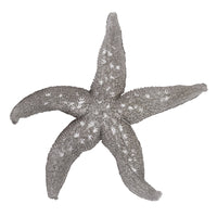 19' Silver Pewter Textured Starfish Wall Art