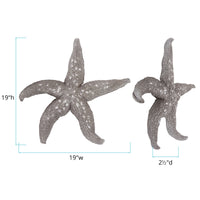 19' Silver Pewter Textured Starfish Wall Art