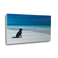 36" Energetic Dog at the Beach Wood Plank Wall Art