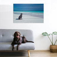 36" Energetic Dog at the Beach Wood Plank Wall Art