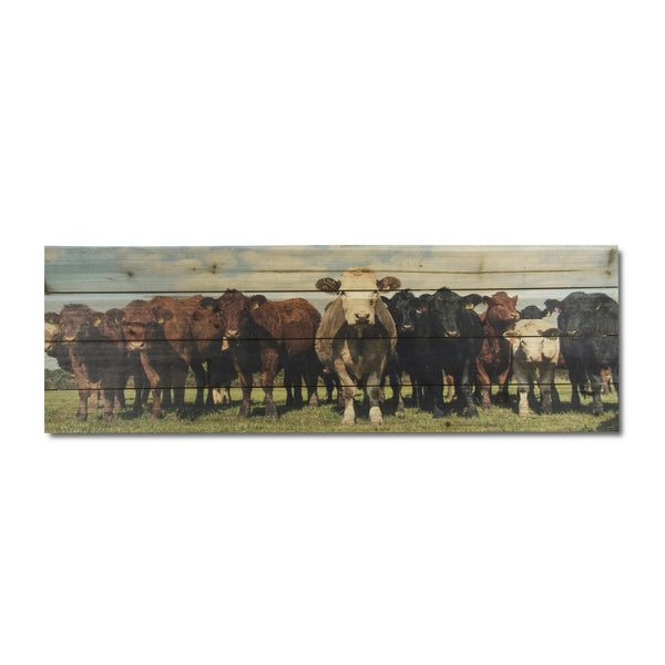 36" Charming Cow Herd Wood Plank Wall Art