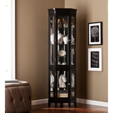Elegant Black Lighted Curio Cabinet