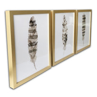 Set of Three Three Neutral Brown Feathers Framed Wall Art Set