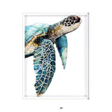 Great Sea Turtle White Print Shadowbox Framed Wall Art