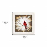 Cardinal on a Branch White Framed Print Wall Art