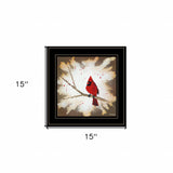 Cardinal on a Branch Black Framed Print Wall Art