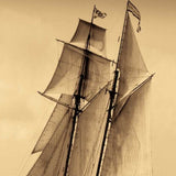 22" Sailing the Dramatic Seas Sepia Tone Giclee Wrap Canvas Wall Art