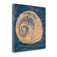 22" Seashell Print on Blue Background Gallery Wrap Canvas Wall Art