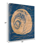 22" Seashell Print on Blue Background Gallery Wrap Canvas Wall Art