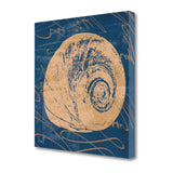 22" Seashell Print on Blue Background Gallery Wrap Canvas Wall Art