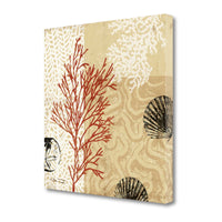 21" Underwater Coral with Seashells and Sandollar 1 Giclee Wrap Canvas Wall Art