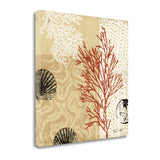 29" Underwater Coral with Seashells and Sandollar 3 Giclee Wrap Canvas Wall Art