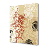 29" Underwater Coral with Seashells and Sandollar 3 Giclee Wrap Canvas Wall Art