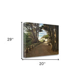 29" Forest Walk by the Beach Print on Gallery Wrap Canvas Wall Art