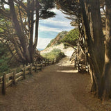 29" Forest Walk by the Beach Print on Gallery Wrap Canvas Wall Art