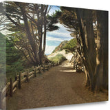 29" Forest Walk by the Beach Print on Gallery Wrap Canvas Wall Art