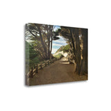 39" Forest Walk by the Beach Print on Gallery Wrap Canvas Wall Art