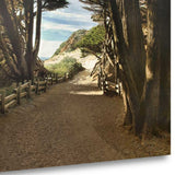 39" Forest Walk by the Beach Print on Gallery Wrap Canvas Wall Art