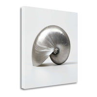 19" Contemporary Metallic Seashell Print on Gallery Wrap Canvas Wall Art