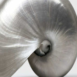 19" Contemporary Metallic Seashell Print on Gallery Wrap Canvas Wall Art