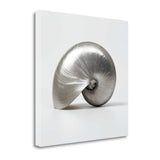 27" Contemporary Metallic Seashell Print on Gallery Wrap Canvas Wall Art