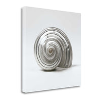 27" Contemporary Metallic Silver Seashell Print on Gallery Wrap Canvas Wall Art