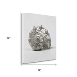 19" Contemporary Silver Seashell Print on Gallery Wrap Canvas Wall Art