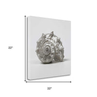 22" Contemporary Silver Seashell Print on Gallery Wrap Canvas Wall Art