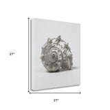 27" Contemporary Silver Seashell Print on Gallery Wrap Canvas Wall Art
