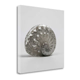 19" Contemporary Metallic Silver Shell Print on Gallery Wrap Canvas Wall Art