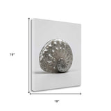 19" Contemporary Metallic Silver Shell Print on Gallery Wrap Canvas Wall Art