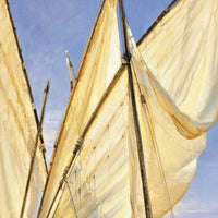 30" Fleet of Boats with Royal White Sails Giclee Wrap Canvas Wall Art