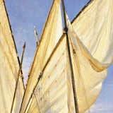 30" Fleet of Boats with Royal White Sails Giclee Wrap Canvas Wall Art