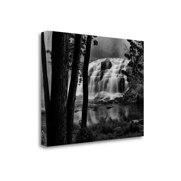 29" Black and White Photograph of Forest Waterfall Gallery Wrap Canvas Wall Art