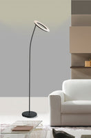 Black Metal Floor Lamp with Halo Shade