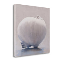 20" Unique View of Sea Shell Giclee Wrap Canvas Wall Art