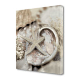 15" Sandy Starfish and Seashells 2 Giclee Wrap Canvas Wall Art