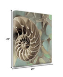 14" Snailshell and Seaglass 1 Giclee Wrap Canvas Wall Art