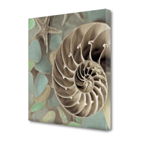 14" Snailshell and Seaglass 2 Giclee Wrap Canvas Wall Art