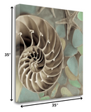 14" Snailshell and Seaglass 2 Giclee Wrap Canvas Wall Art