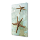 33" Two Brown Starfish and Blue Seaglass Giclee Wrap Canvas Wall Art