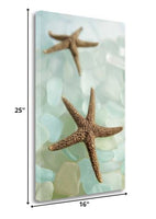 33" Two Brown Starfish and Blue Seaglass Giclee Wrap Canvas Wall Art