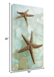 33" Two Brown Starfish and Blue Seaglass Giclee Wrap Canvas Wall Art