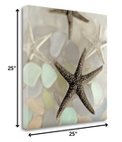 13" Four Starfish and Faded Seaglass 2 Giclee Wrap Canvas Wall Art