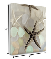 13" Four Starfish and Faded Seaglass 2 Giclee Wrap Canvas Wall Art