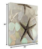 13" Four Starfish and Faded Seaglass 2 Giclee Wrap Canvas Wall Art