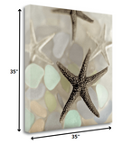 13" Four Starfish and Faded Seaglass 2 Giclee Wrap Canvas Wall Art