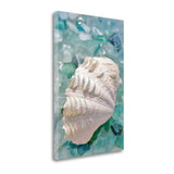 31" Pearl Shell and Colorful Seaglass Giclee Wrap Canvas Wall Art