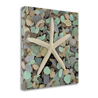 10" Starfish and Colorful Seaglass 1 Giclee Wrap Canvas Wall Art