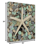 10" Starfish and Colorful Seaglass 2 Giclee Wrap Canvas Wall Art